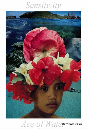 Nature Tarot by Jan Strube